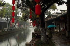 小桥吃瓜娱乐,揭秘娱乐圈幕后故事